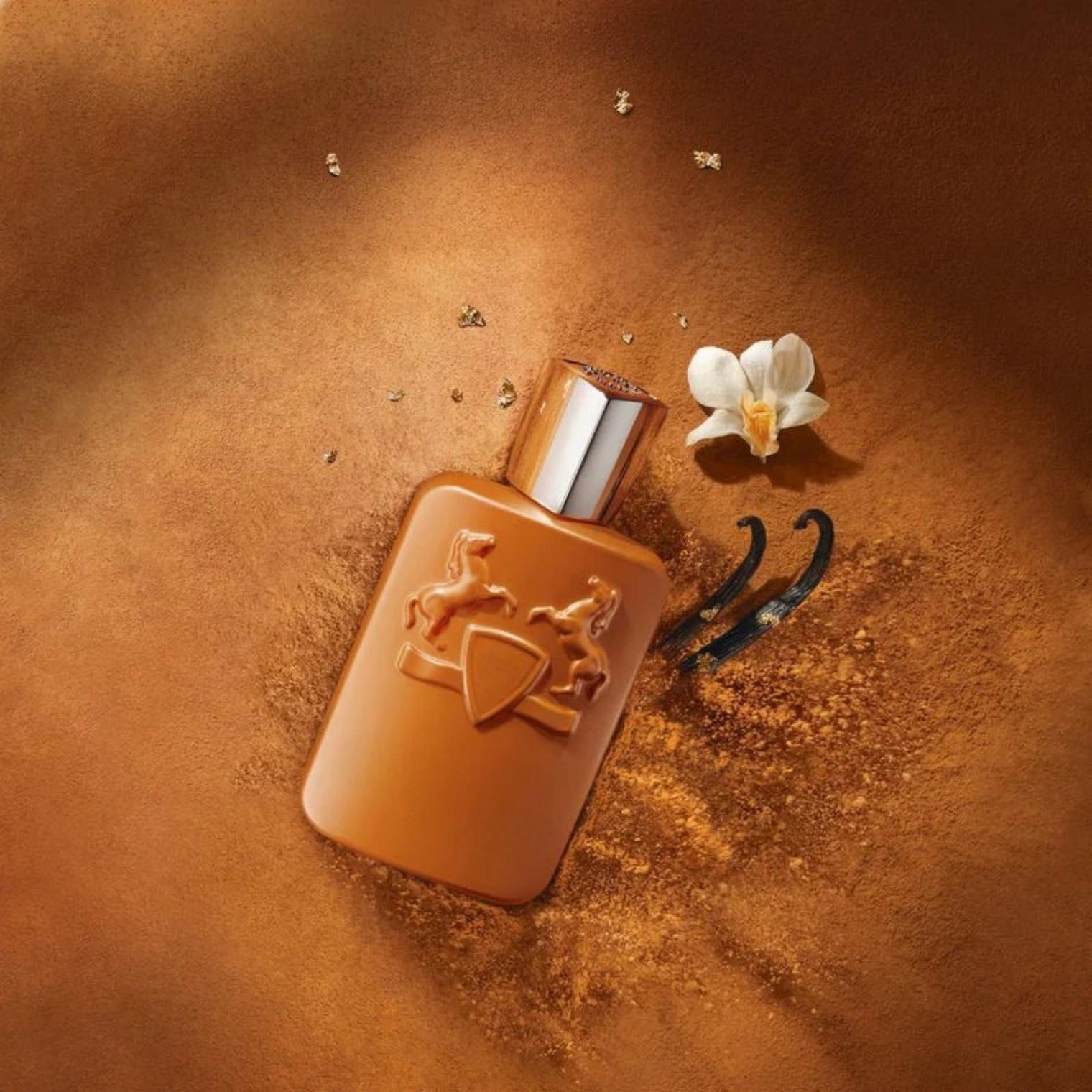 125ml 브라운 보틀 남성용 향수, 풍부한 우디 향  - Perfume Scent Fragrance 리뷰 및 가격