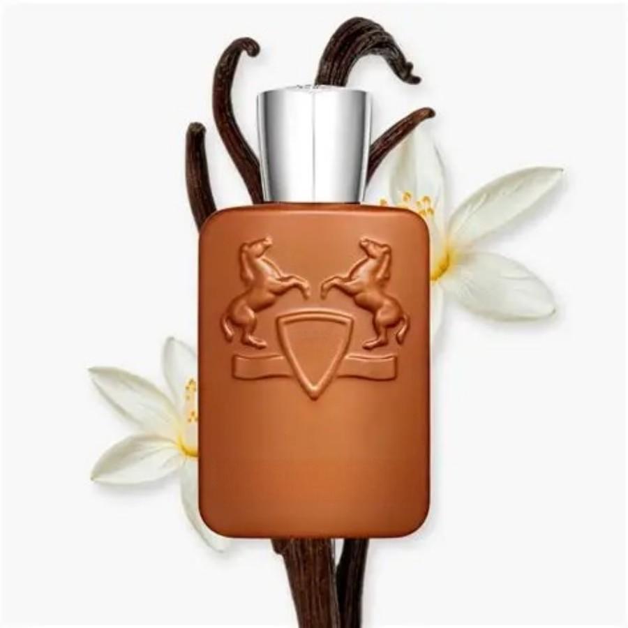 125ml 브라운 보틀 남성용 향수, 풍부한 우디 향  - Perfume Scent Fragrance 리뷰 및 가격