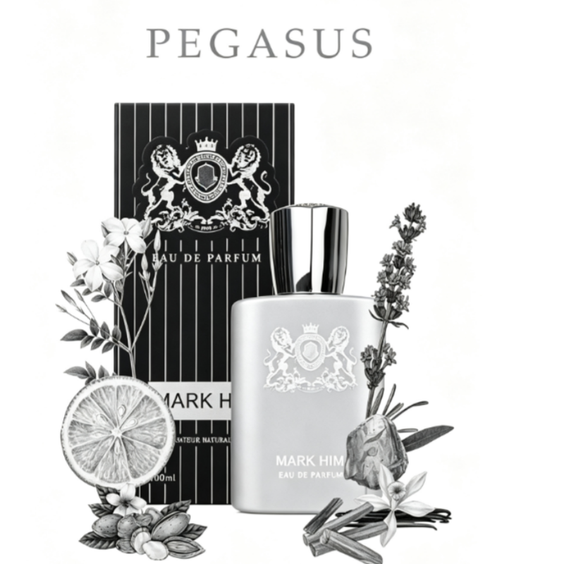 100ml 마크 히 남성 향수, 오래 지속되는 마그네틱 - Perfume Fragrance Free 리뷰 및 가격