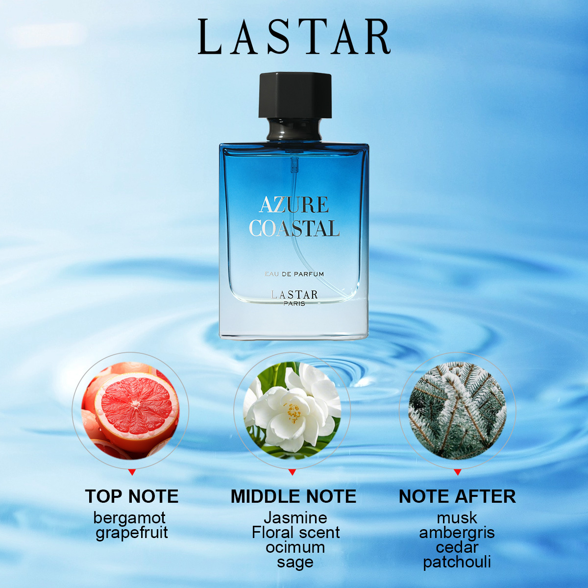 라스타 남성 향수, 2병 총 100ml/3.38fl.o - Perfume Fragrance Gift Set 리뷰 및 가격