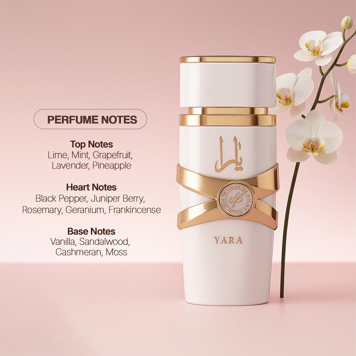 야라 모이 - 3.4온스 플로럴, 프루티, 구르망 향  - Yara Perfume Fragrance 리뷰 및 가격
