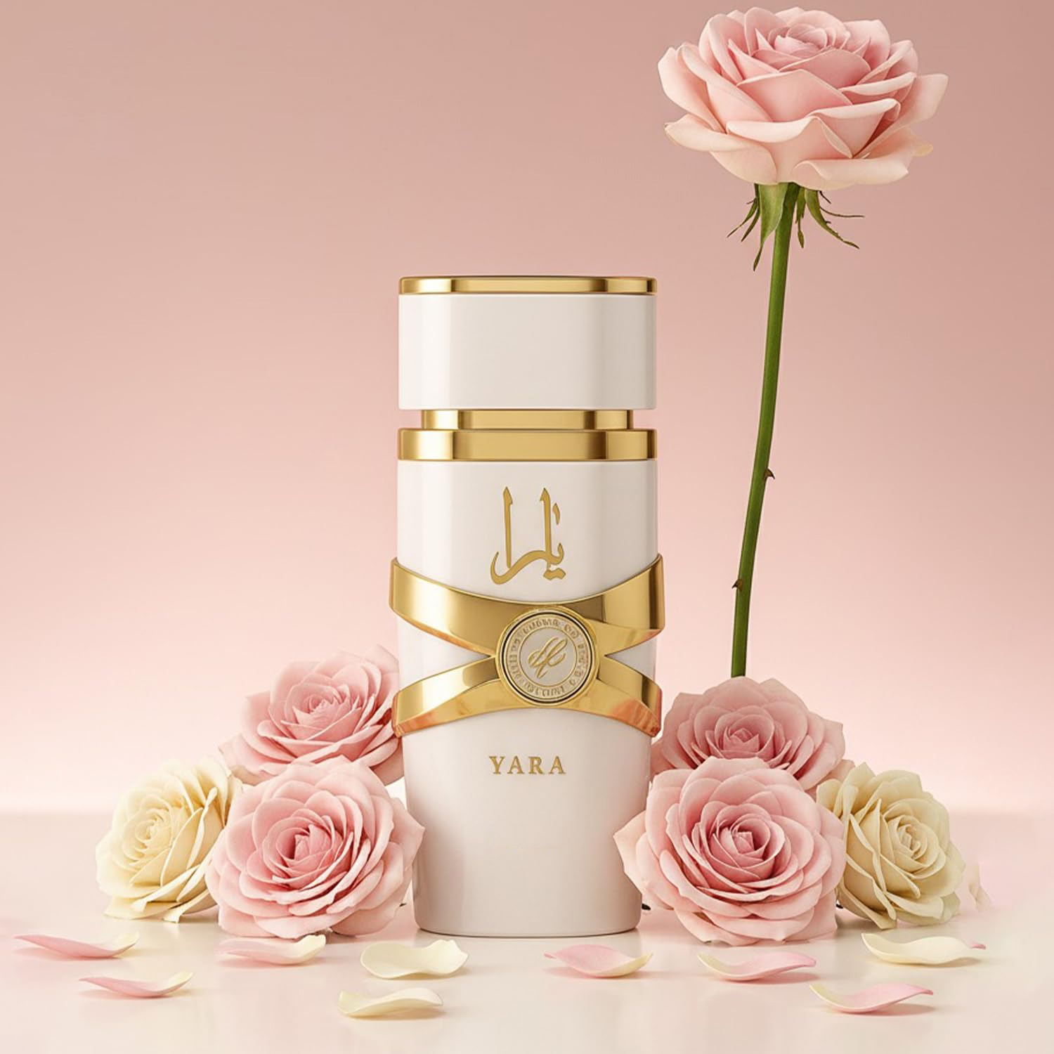 야라 모이 - 3.4온스 플로럴, 프루티, 구르망 향  - Yara Perfume Fragrance 리뷰 및 가격