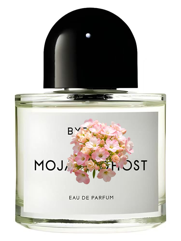 유니섹스 오 드 퍼퓸 100ml 3.4 fl.oz 럭셔 - Perfume Scent Fragrance 리뷰 및 가격